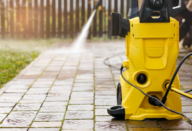Animal Enclosure Cleaning in Wellman, IA